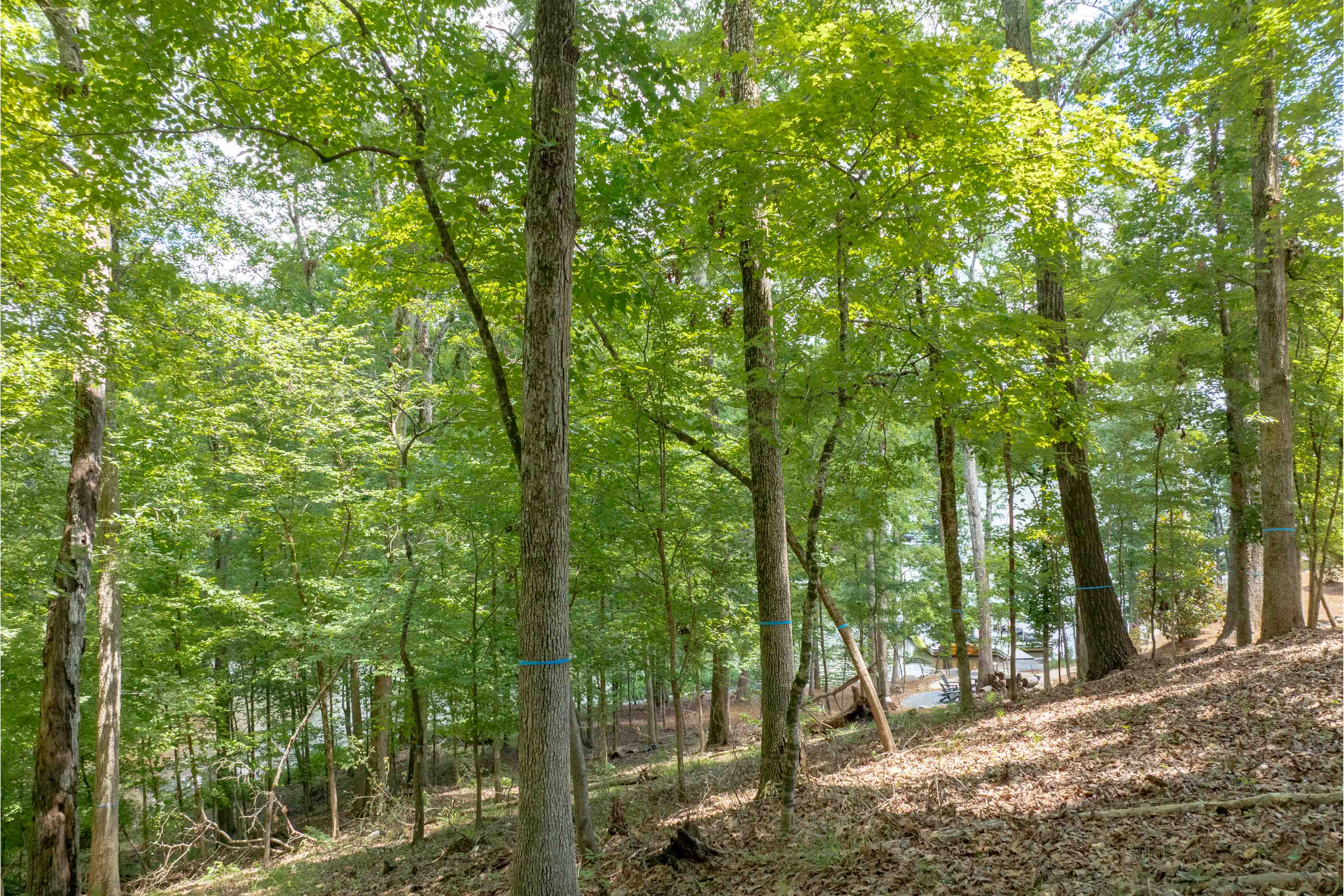 1100 High Bluff Lane image 10